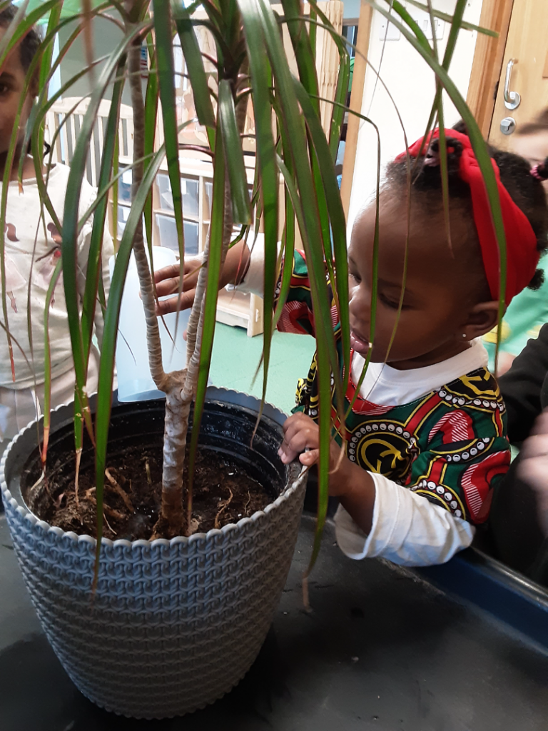 st paul's nursery